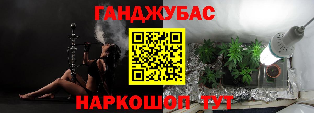 Бошки Шишки планчик Прохладный